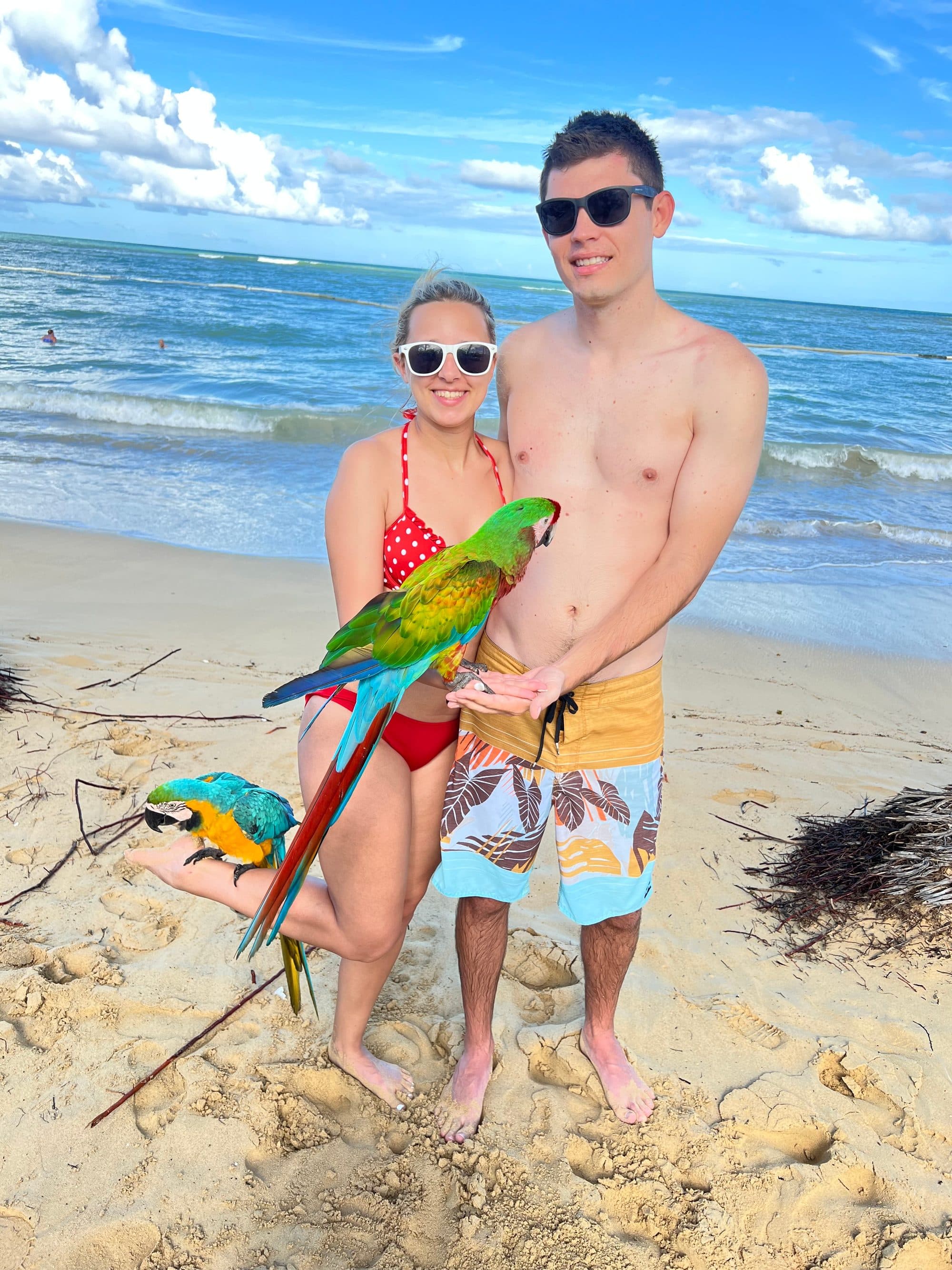 Couple on the beach holding two colorful macaws